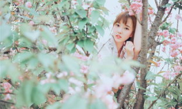 花写真日系,捕捉时光里的浪漫与静谧